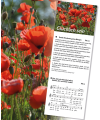 Liedblatt - Glücklich sein