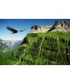 Postkarte - Adler