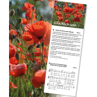 Liedblatt - Glücklich sein